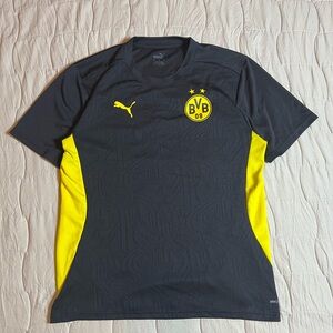 Borussia Dortmund BVB Jersey Mens Size L 2016/2017 Puma Soccer Football Shirt